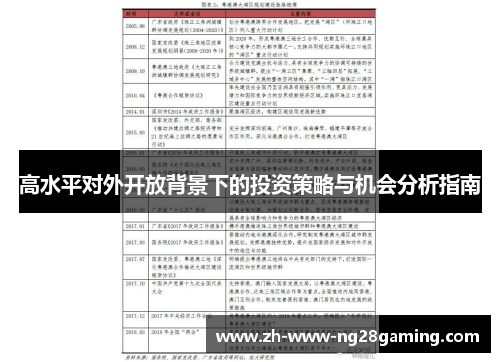 高水平对外开放背景下的投资策略与机会分析指南
