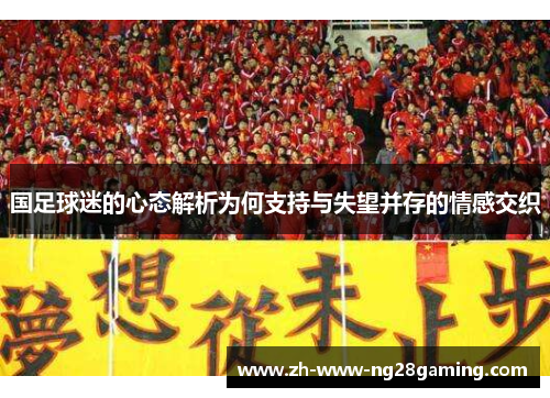 国足球迷的心态解析为何支持与失望并存的情感交织