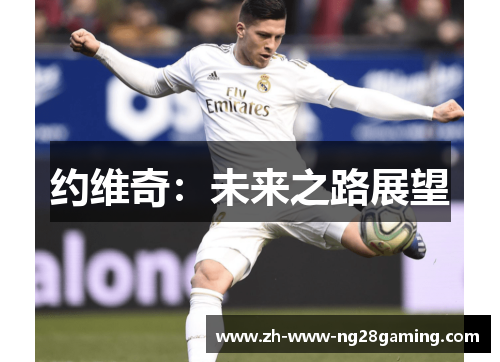 约维奇：未来之路展望