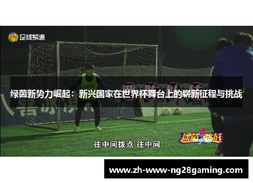 绿茵新势力崛起：新兴国家在世界杯舞台上的崭新征程与挑战