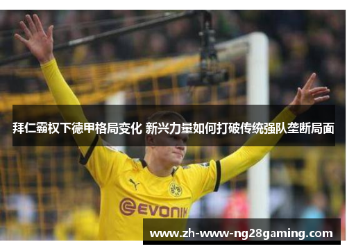 拜仁霸权下德甲格局变化 新兴力量如何打破传统强队垄断局面