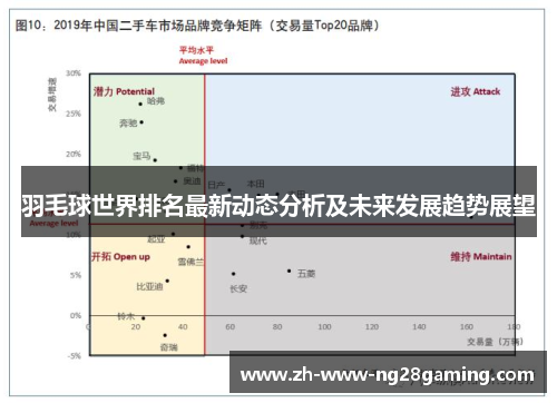 羽毛球世界排名最新动态分析及未来发展趋势展望